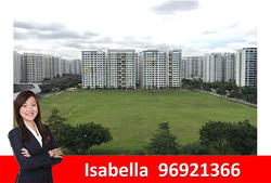 Watertown (D19), Apartment #156869812